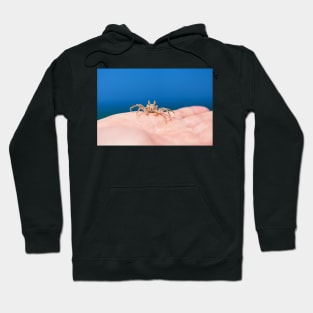 Little crab on human hand against blue sky and green ocean Hoodie